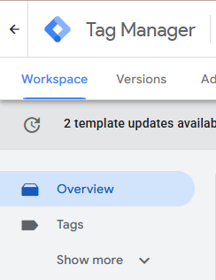 GTM left navigation panel showing the collapsible menu with Overview and Tags visible and a Show more toggle